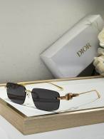 Dior Sunglasses AAA (731)