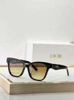 Dior Sunglasses AAA (622)