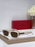 YSL Sunglasses AAA (119)