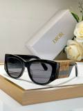 Dior Sunglasses AAA (202)