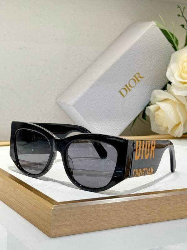 Dior Sunglasses AAA (202)
