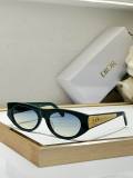 Dior Sunglasses AAA (892)