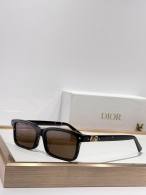 Dior Sunglasses AAA (1160)