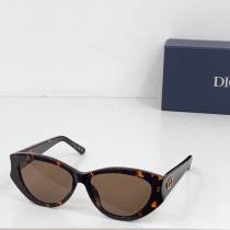 Dior Sunglasses AAA (111) Dior Sunglasses AAA (111)