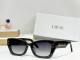 Dior Sunglasses AAA (436)