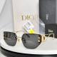 Dior Sunglasses AAA (558)