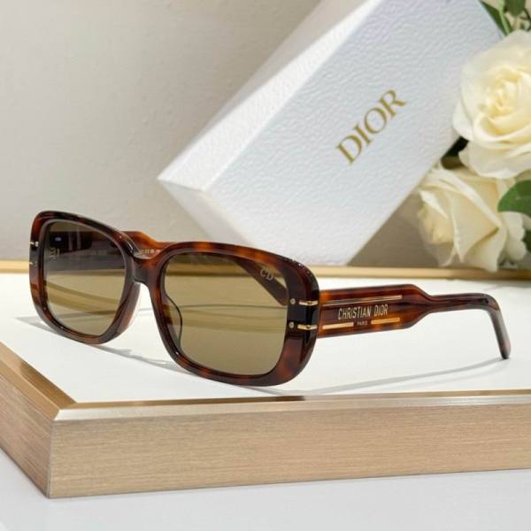 Dior Sunglasses AAA (42)