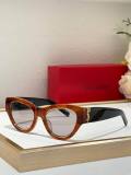 YSL Sunglasses AAA (177)