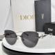 Dior Sunglasses AAA (498)