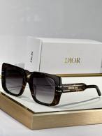 Dior Sunglasses AAA (9)
