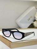 Dior Sunglasses AAA (890)