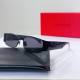 YSL Sunglasses AAA (17)