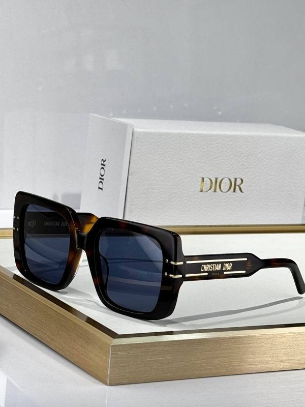 Dior Sunglasses AAA (11)