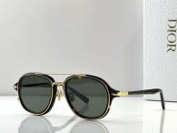 Dior Sunglasses AAA (24)
