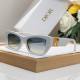 Dior Sunglasses AAA (310)