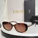 Dior Sunglasses AAA (147)