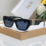 Dior Sunglasses AAA (313)