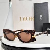 Dior Sunglasses AAA (496)