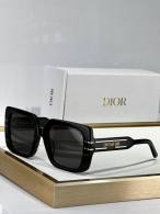 Dior Sunglasses AAA (15)