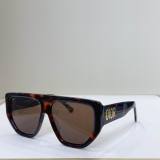 Dior Sunglasses AAA (985)