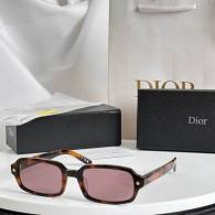Dior Sunglasses AAA (170)