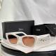 Dior Sunglasses AAA (552)
