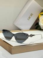 Dior Sunglasses AAA (205)