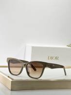 Dior Sunglasses AAA (691)