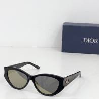 Dior Sunglasses AAA (107)