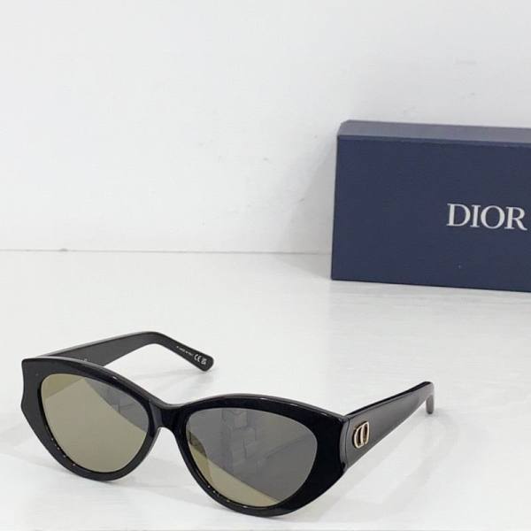 Dior Sunglasses AAA (107)