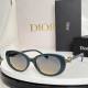 Dior Sunglasses AAA (150)