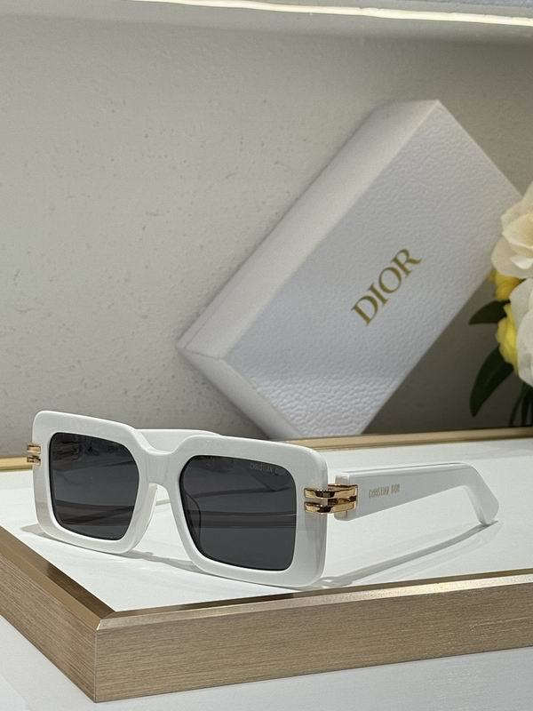 Dior Sunglasses AAA (741)