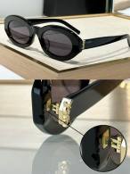 YSL Sunglasses AAA (454)