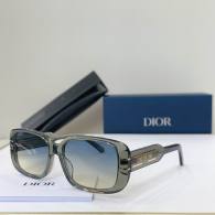 Dior Sunglasses AAA (348)