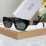 Dior Sunglasses AAA (312)