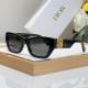 Dior Sunglasses AAA (312)