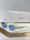 Dior Sunglasses AAA (35)