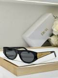 Dior Sunglasses AAA (889)