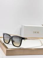 Dior Sunglasses AAA (1168)