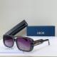 Dior Sunglasses AAA (354)