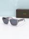 Tom Ford Sunglasses AAA (171)