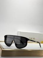 Dior Sunglasses AAA (1060)
