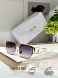 Dior Sunglasses AAA (441)