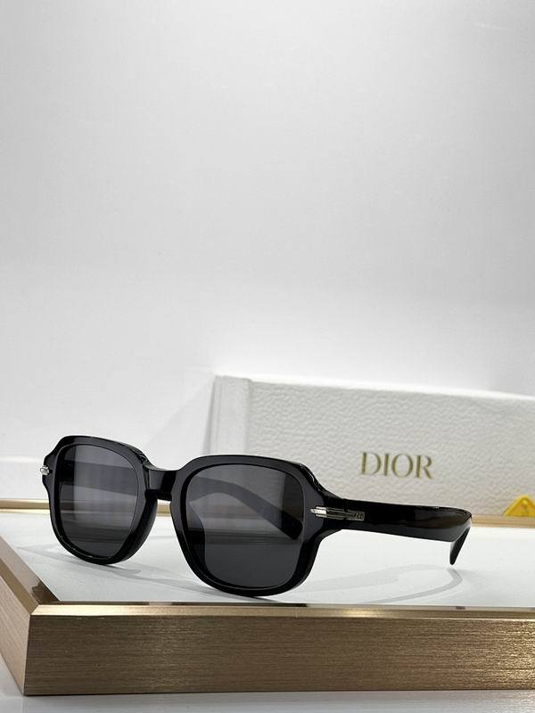Dior Sunglasses AAA (1067)