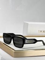 Dior Sunglasses AAA (8)