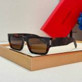 YSL Sunglasses AAA (284)