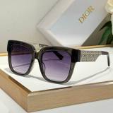Dior Sunglasses AAA (304)
