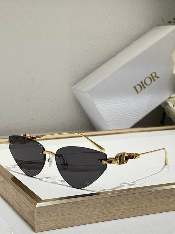 Dior Sunglasses AAA (880)