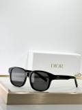 Dior Sunglasses AAA (671)