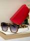 YSL Sunglasses AAA (170)
